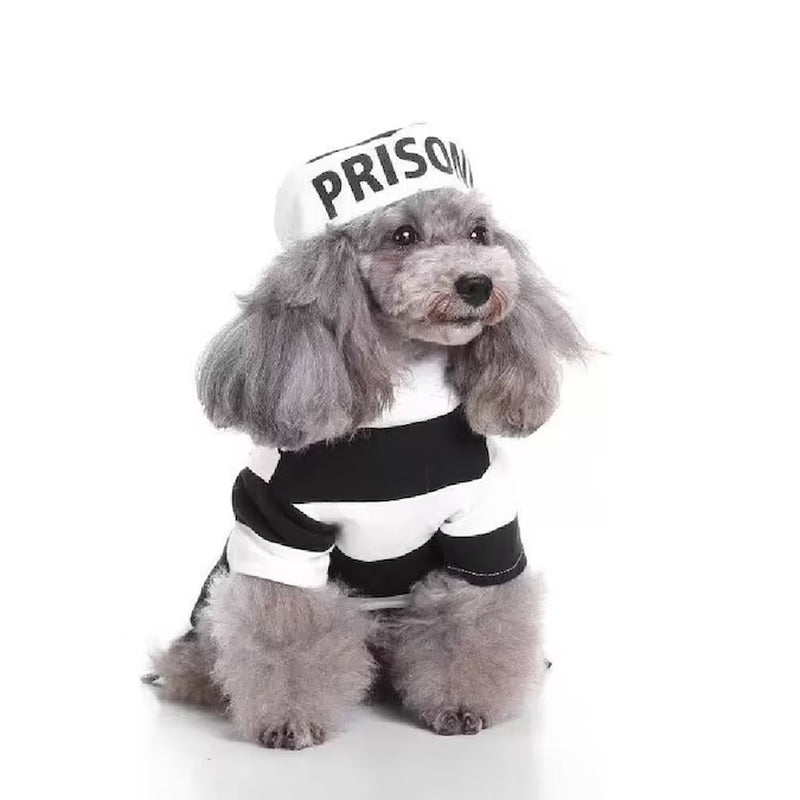 Prisoner Pet Costume